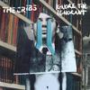 Cheat On Me - The Cribs