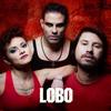 Intro - Lobo