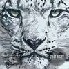That Nght (Original Mix) - Zonatto&Edi Zerg&Di Morais