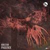 Phoenix (Original Mix) - Rokston