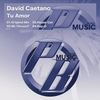 Tu Amor (Original Mix) - David Caetano