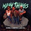 Many Things(feat. Elveektor & Louis Fego) - Barzini&ELVEEKTOR&Louis Fego