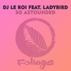 So Astounded (Black Coffee Remix) - DJ Le Roi&Ladybird&Black Coffee