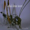 Drones (Original Mix) - Cbas
