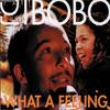 What a Feeling (U-Max Club Mix) - DJ Bobo&Irene Cara