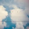 refelctions - Mobi