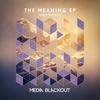 The Meaning - Sasha Primitive