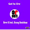 Got To Live (Original Mix) - Steve K&Kenny Bradshaw