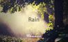 Rain - Thunse