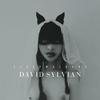 Ballad Of A Deadman - David Sylvian