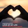 Love of My Life (Bass Prototype Remix) - Kindervater