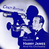 You're In Love With Someone Else - Harry James&Loesser&Harry James and His Orchestra