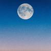 dawn - RAINES