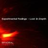 Forever - Experimental Feelings