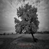 Freedom (Original Mix) - Andrei Mario