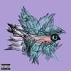 Pigeons (Explicit) - Harry Adams