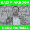 Ganz Normal - Kazim Akboga