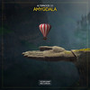 Amygdala - Alternoize Dj