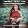 DJ MASHUP TIKTOK KANE KEREN ABIS - Arie Gogon&Dj Febrii Saragih