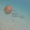 Remote - DJ Leoni