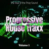 Minority (Progression Mix) - Program 3