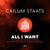 All I Want (Ben R Saunders Remix) - Cailum Staats&Ben R Saunders