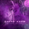 Dikiy kayf (Explicit) - LXE&Kavabanga Depo Kolibri