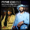 Vibes Like This (Remix) - Ras Demo&Echo Minott