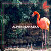 Coco - Alper Karacan&Satsuma Music