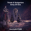 Army Of One (Radio Edit) - Triode&Voolgarizm