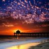 Welcome Mr. Chapman (Original Mix) - Franky carbon-e