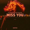 Miss You - Nu Aspect&Jamis&Poppy Baskcomb