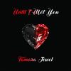 Until I Met You - Tamara Jewel