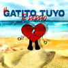El Gatito Tuyo Te Perdió (Remix) - EZE Vallejo&DJ Maicol Inigo