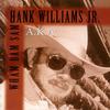 You Won't Mind The Rain - Hank Williams JR.