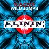 Wild Jumps (Original Mix) - R3sizzer