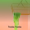 Trickle Trickle - The Videos