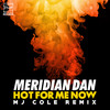 Hot For Me Now (MJ Cole Remix) - Meridian Dan