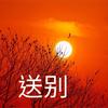 送别 - 赵彤刚