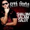 Shalom Salam Salut - Seth Gueko