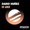 Is Like - Dario Nunez