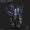 Lost Inside - Markus Volker