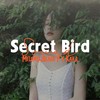 Secret Bird Sound - Melomix&Black P&Kara