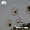 Cheerful Beats - Krith Iyer