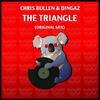 The Triangle (Original Mix) - Chris Bullen&Dingaz