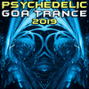 Elysium (Psychedelic Goa Trance 2019 Dj Mixed) - Subliminal Insane