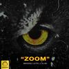 Zoom(feat. Alibi) - Behzad Leito&Alibi
