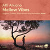 Mellow Vibes (Cullera Remix) - Aki Amano&Cullera