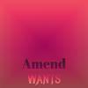 Amend Wants - Agur Niini