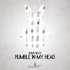 Rumble in My Head - Homo Novo